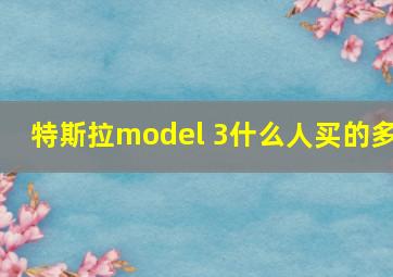 特斯拉model 3什么人买的多